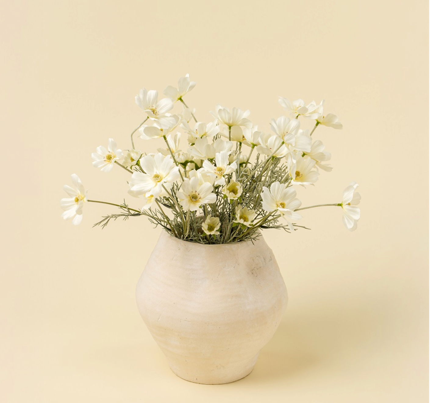 White Cosmos Stem