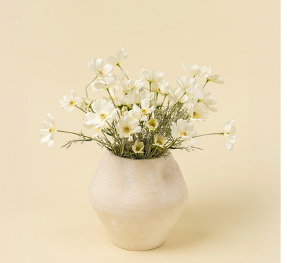 White Cosmos Stem