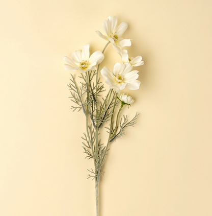 White Cosmos Stem