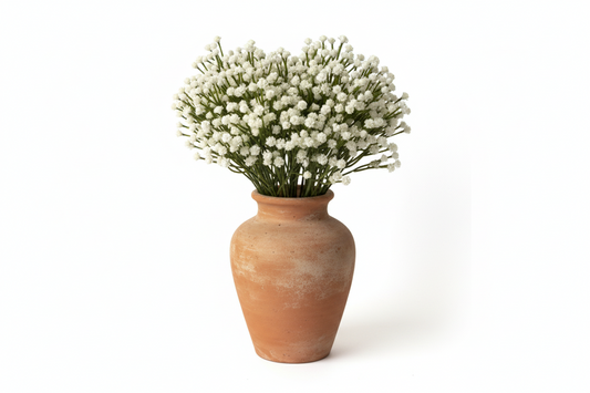 Gypsophila 15"-White