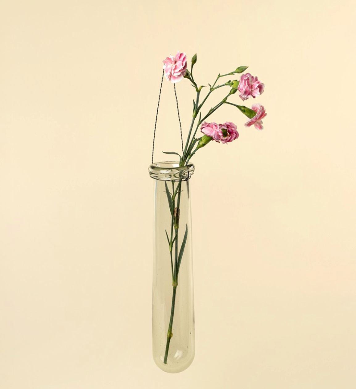 Hanging Tube Vase