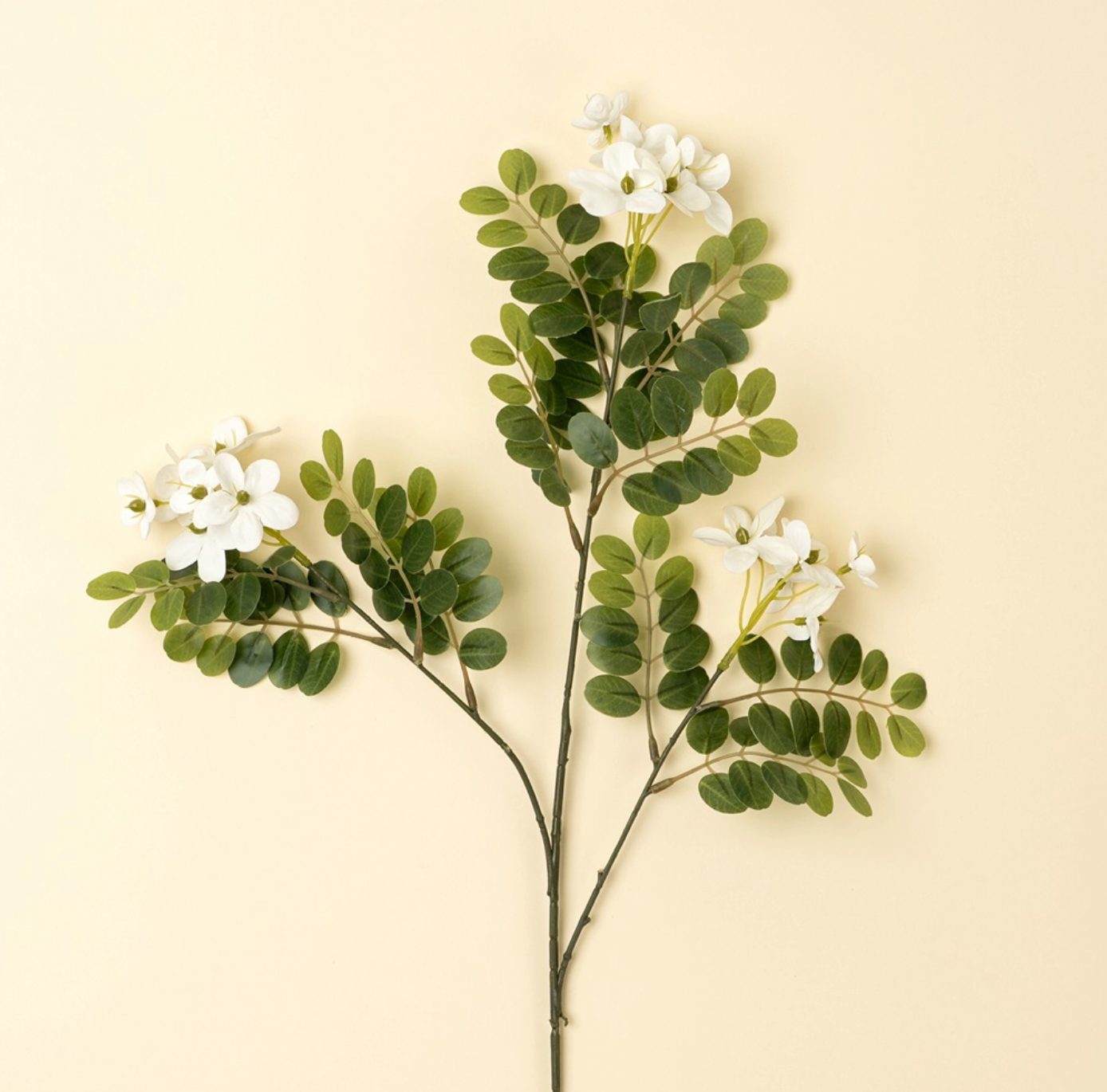 Locust Flower Branch
