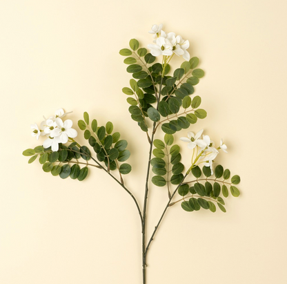 Locust Flower Branch