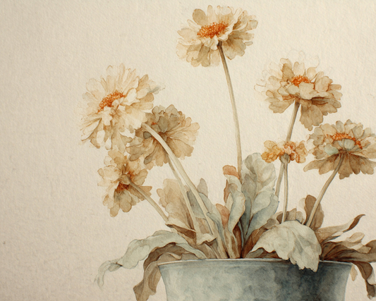Soft Petals