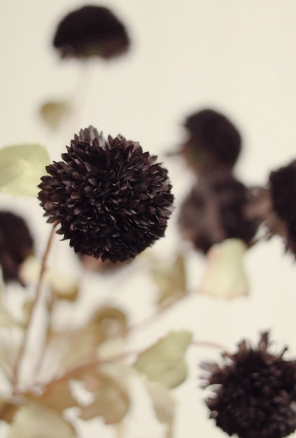 Pom Pom Floral Spray, Midnight