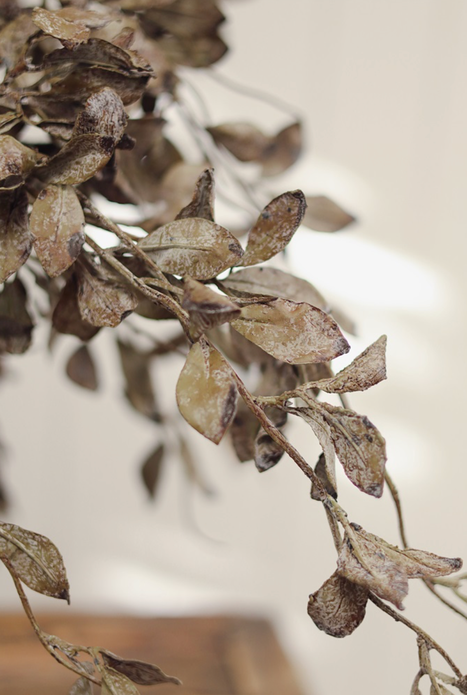 Smoked Eucalyptus Spray