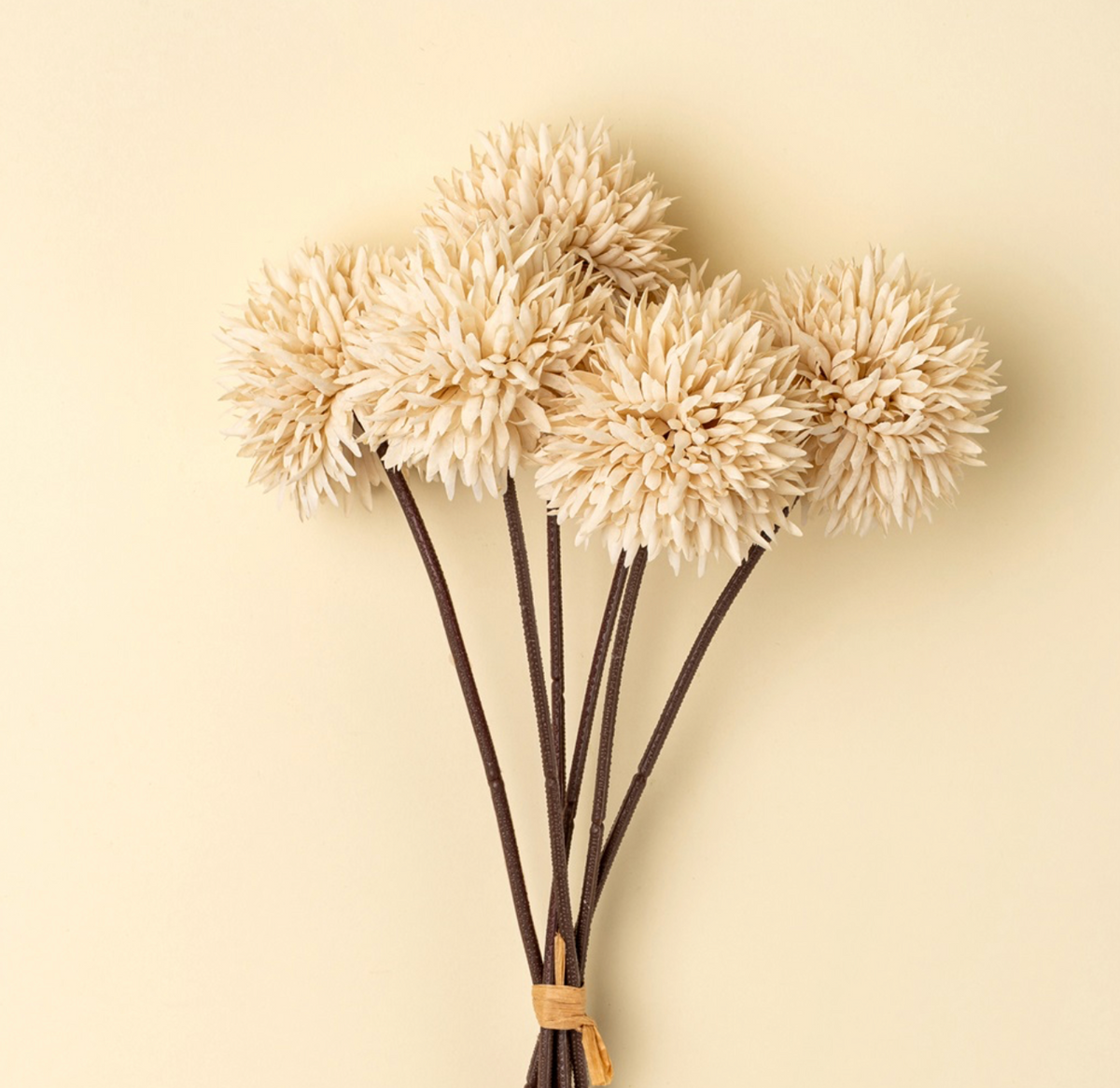Cream Allium Bouquet