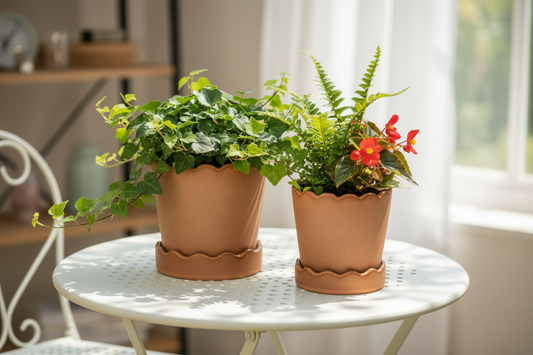 The Roselle Scalloped Planter