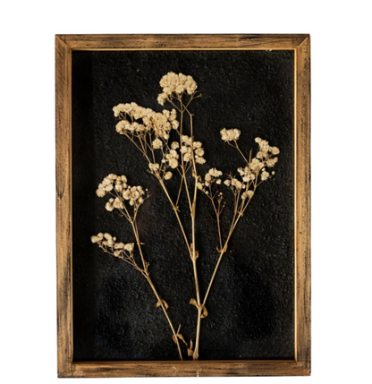 Framed Pressed Botanical Wall Art