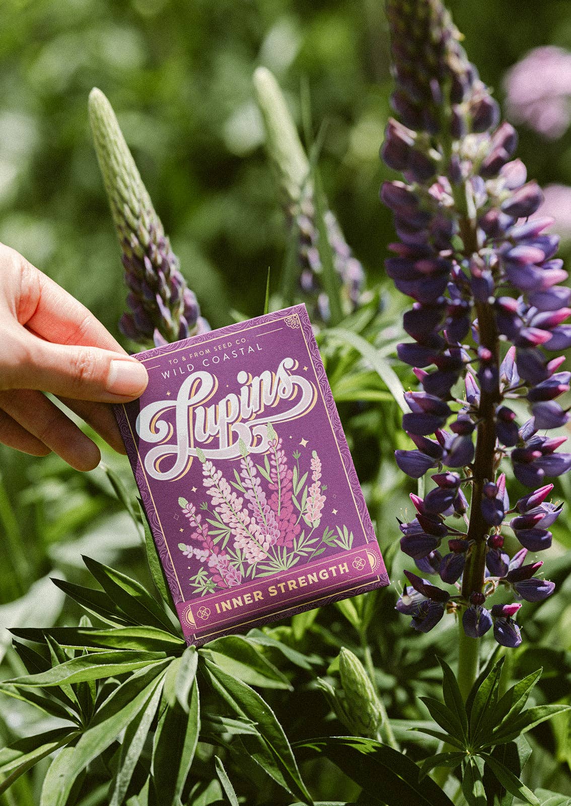 Seed Packet - Lupins (Inner Strength)