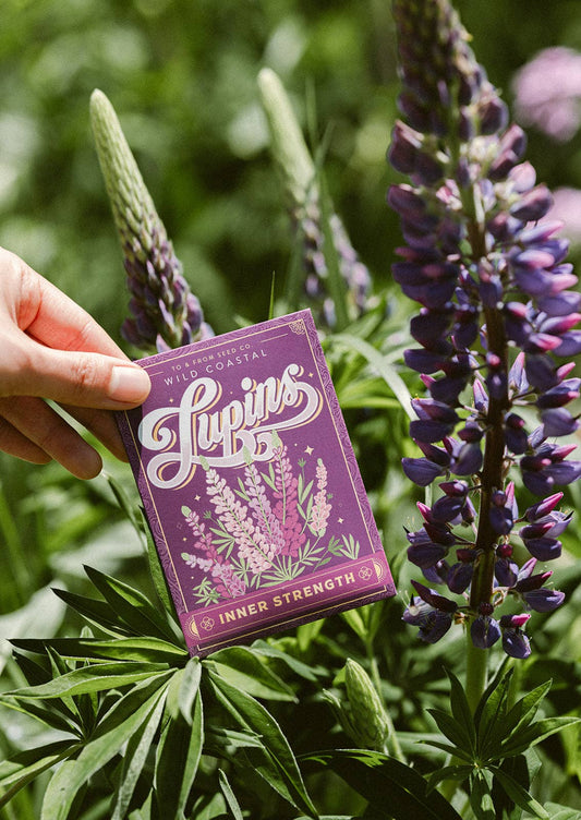 Seed Packet - Lupins (Inner Strength)