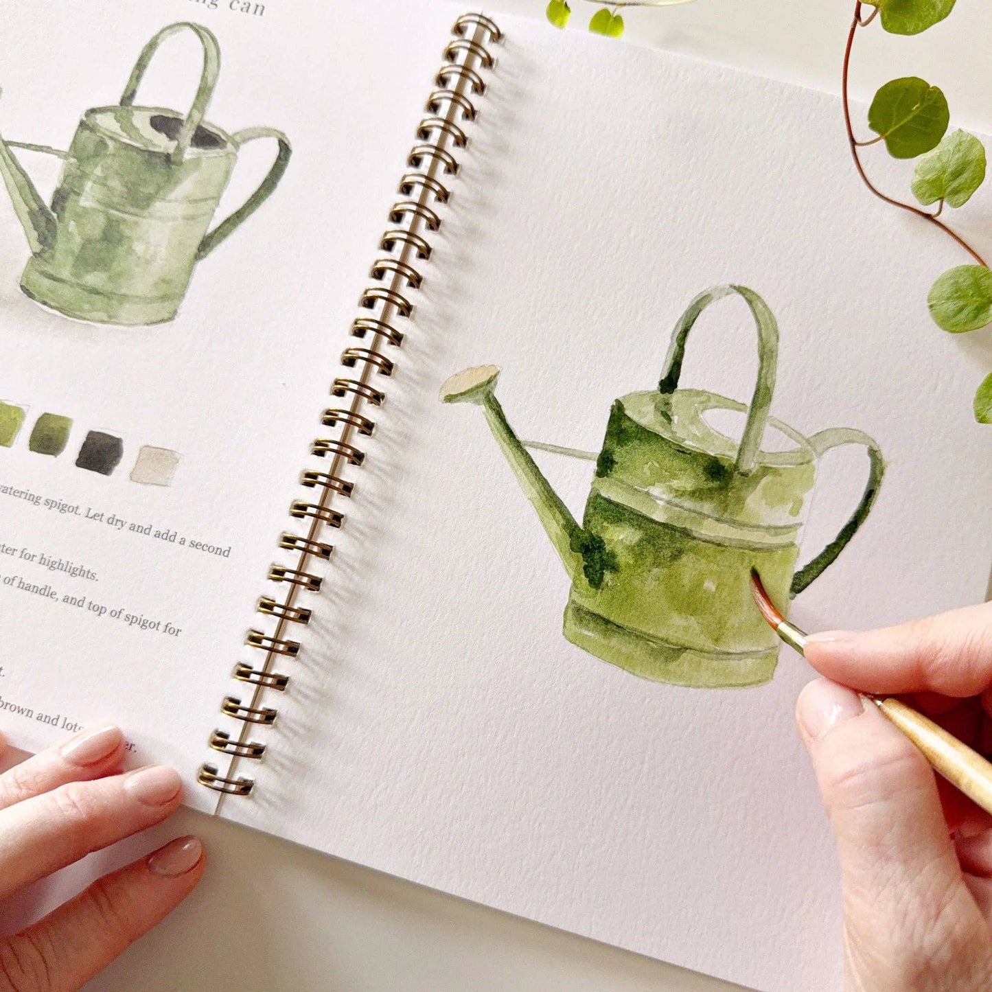 Garden watercolour workbook