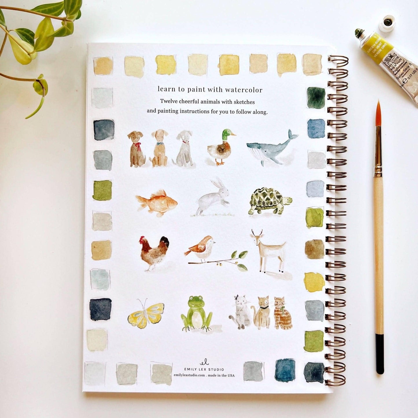 Animals watercolour workbook