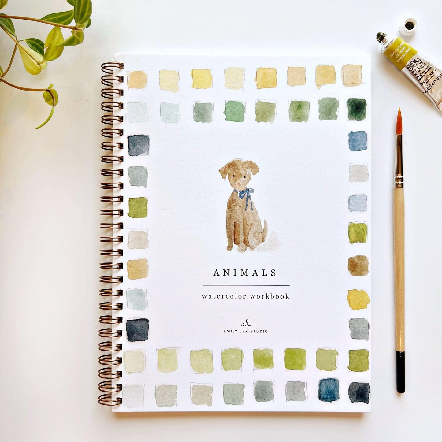 Animals watercolour workbook