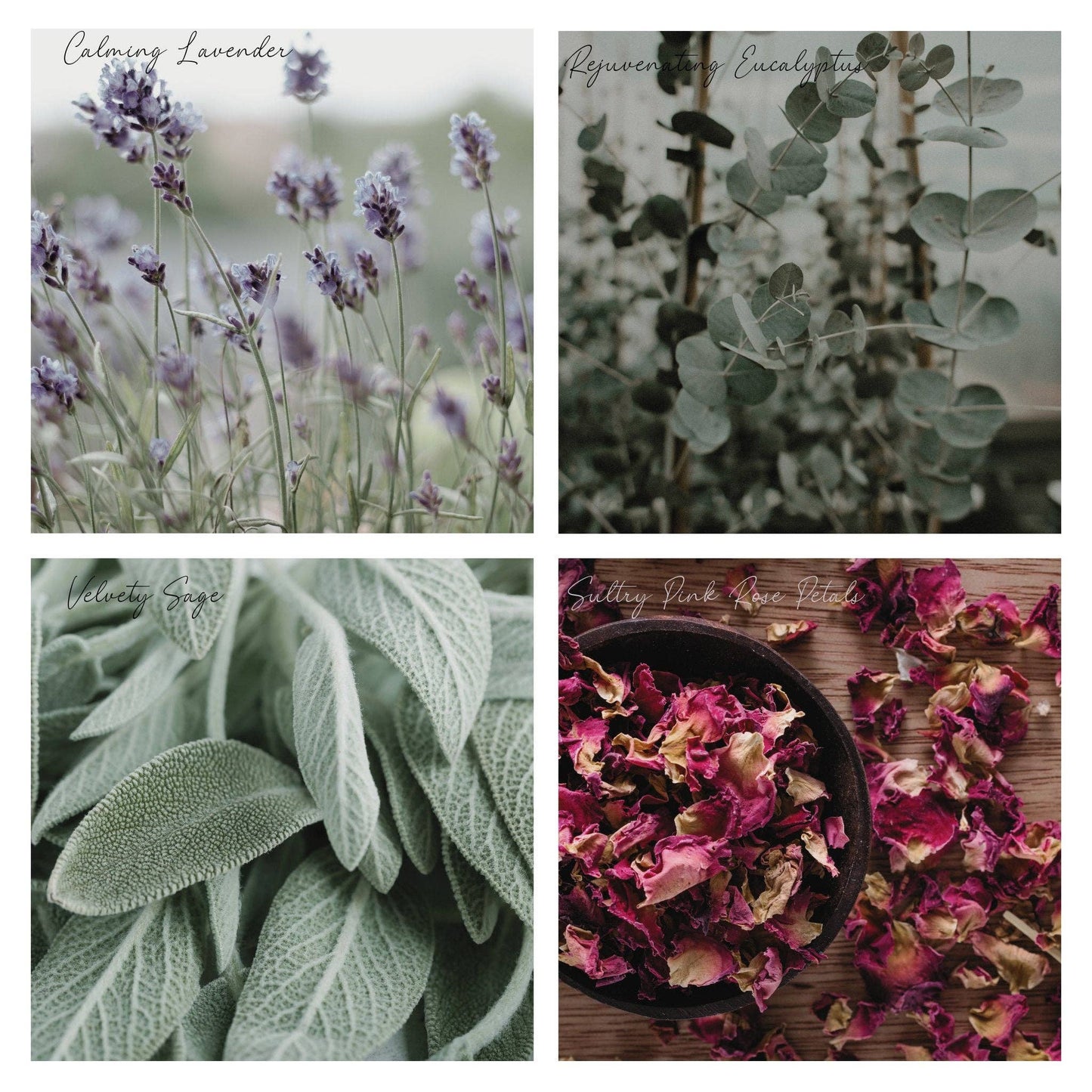 Be Dreamy Simmer Pot Mix, Natural Lavender Citrus Aroma